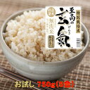 【至高の玄氣】減農薬・巨大胚芽米の発芽玄米750g（5合）お試しサイズ白米モード楽々