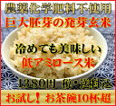 【究極の玄氣】無農薬・巨大胚芽の発芽玄米750g(5合)お試しサイズ白米モード楽々炊