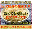 【究極の玄氣】無農薬・巨大胚芽の発芽玄米圧倒的に美味しい無農薬の玄氣1.5kg(真空