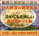【究極の玄氣】無農薬・巨大胚芽の発芽玄米圧倒的に美味しい無農薬の玄氣1.5kg×6袋(9