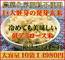 【究極の玄氣】無農薬・巨大胚芽の発芽玄米圧倒的に美味しい無農薬の玄氣1.5kg×10袋15