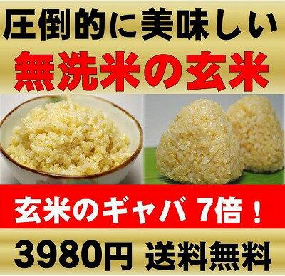 発芽玄米・無洗米（平成23年静岡県磐田産）無農薬（農薬・化学肥料不使用栽培）・玄氣4.5kg（1.5kg×3袋 真空パック）