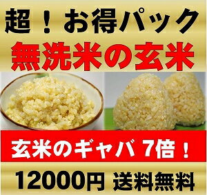 発芽玄米・無洗米（平成23年静岡県磐田産）無農薬（農薬・化学肥料不使用栽培）・玄氣玄氣15kg（1.5kg×10袋 真空パック）