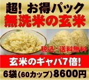 無農薬 玄米 発芽玄米白米モード楽々炊飯!圧倒的に美味しい無農薬の玄氣1.5kg×6袋(9kg真空パック)【無農薬 玄米 発芽玄米 無洗米】無農薬JAS有機栽培【27年宮城県産】【免疫ビタミンLPSリポポリサッカライド】