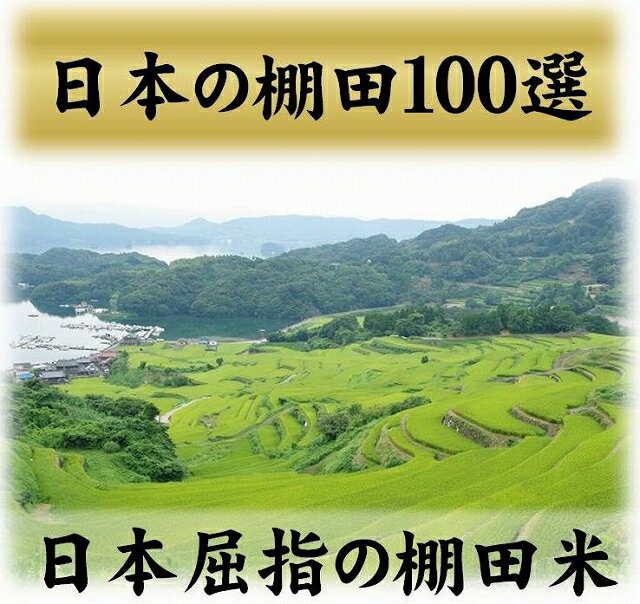 九州・佐賀県上場産 コシヒカリ5kg・無洗米・送料無料