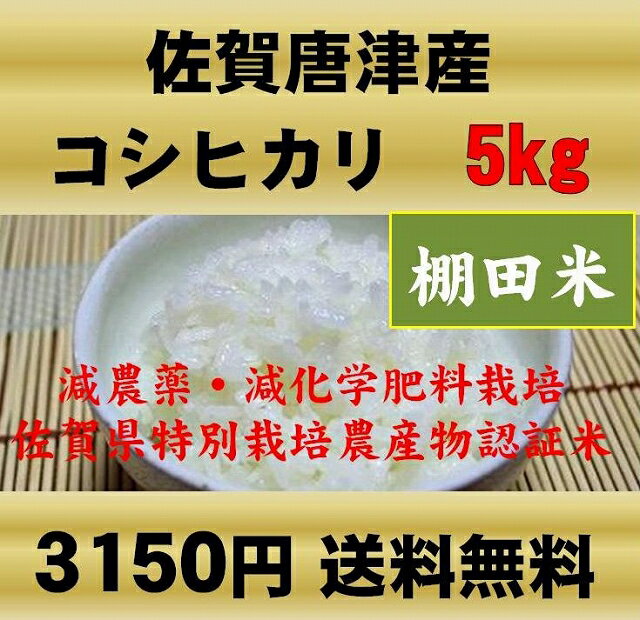 九州・佐賀県唐津産 コシヒカリ5kg（棚田米）無洗米・減農薬減化学肥料栽培・送料無料