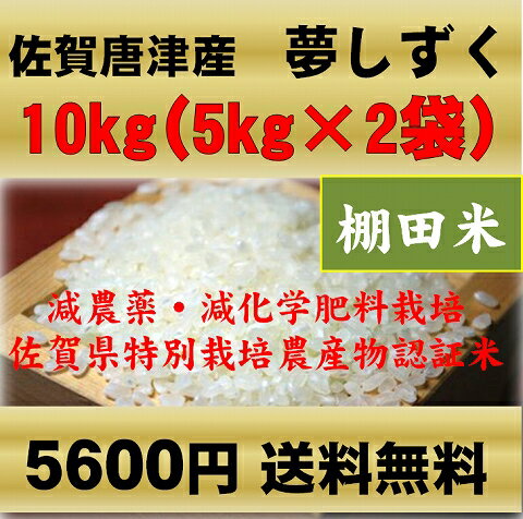 送料無料・無洗米・九州・佐賀県唐津産夢しずく10kg（棚田米）（減農薬・減化学肥料栽培）（5kg×2袋）