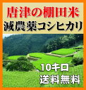 【28年新米】九州・佐賀県唐津28年産コシヒカリ1