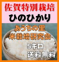 【28年新米】佐賀県産・籾(もみ)貯蔵ひのひかり5kg(佐賀...