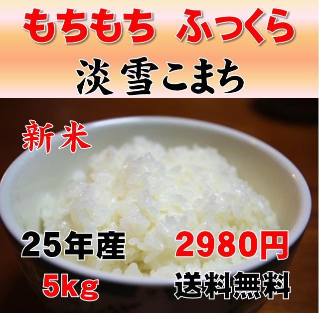 25年新米・淡雪こまち・ 減農薬栽培・秋田県鹿角産5kg☆無洗米にも対応できます青空レストランで紹介された話題の新米JAかづの直播研究会の減農薬「淡雪こまち」「もちもち」「ふっくら」「やわらかい」三拍子そろった美味しさ！