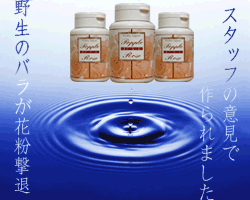 花粉対策！【天然素材】(1本/120粒入)1粒にバラ花びら抽出物成分220mg入25dw12『ポプーローズ』お徳用3本セット