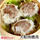 元気豚 大粒肉焼売 50g×6個入り【千葉県産豚肉】【三元豚...