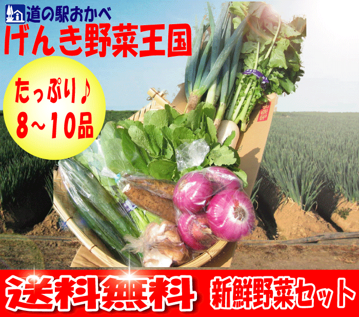 深谷ねぎ入りたっぷり新鮮野菜セット【送料無料】