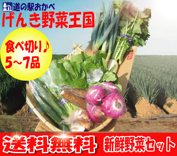 【送料無料】食べ切り野菜セット【smtb-TD】【saitama】深谷ねぎを中心に新鮮野菜をお届け!!1〜2人家族にぴったりの野菜セット