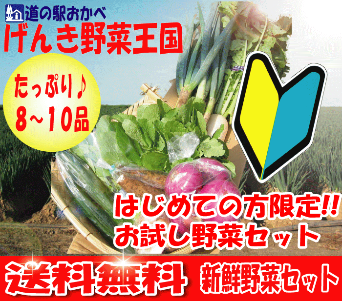 【はじめての方限定!!】深谷ねぎ入り新鮮野菜セット【お試し価格】【送料無料】