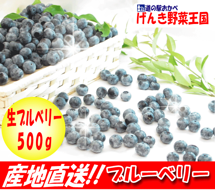 朝つみ国産生ブルーベリー500g