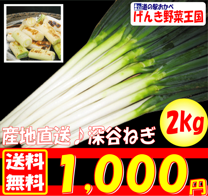 産地直送♪深谷ねぎ2kgセット埼玉県深谷市産　本場の深谷ねぎは鍋料理から薬味まで万能野菜!!特にお鍋は煮込みすぎるととろける!!長ねぎ・長ネギ・長葱