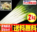 産地直送♪深谷ねぎ2kgセット埼玉県深谷市産　本場の深谷ねぎは鍋料理から薬味まで万能野菜!!特にお鍋は煮込みすぎるととろける!!長ねぎ・長ネギ・長葱