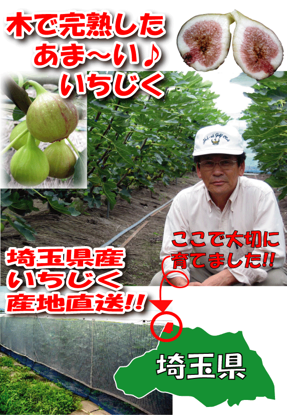 ̸λǺݤڤǽϤޤǼϤʤΤ!!īδϡۡڤǴϡۡڤޡۺ̸껺ľ!!