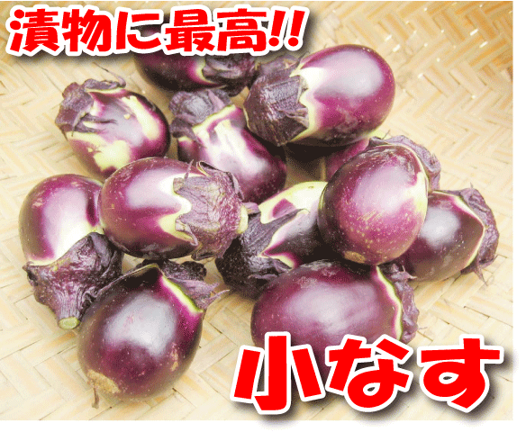 漬物に最高【小なす】350g