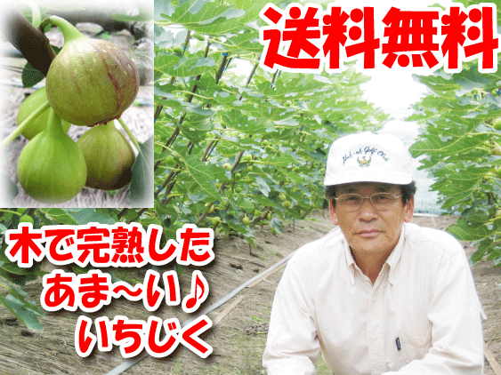 ̸λǺݤڤǽϤޤǼϤʤΤ!!īδϡۡڤǴϡۡڤޡۺ̸껺ľ!!