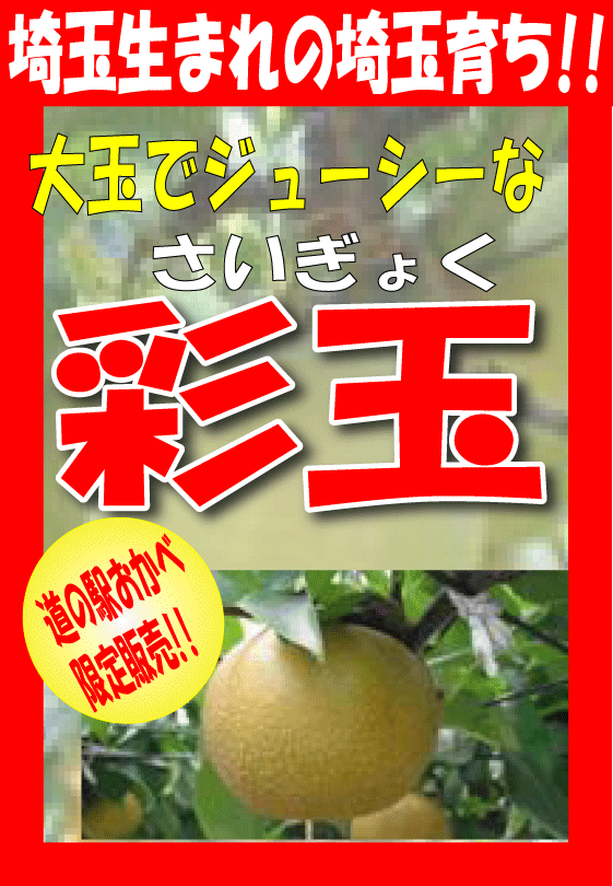 ޤκ̰ں̥֥ɡ̤ۤǥ塼ǹʾ˴Ť̶̡˺ޤκ̰