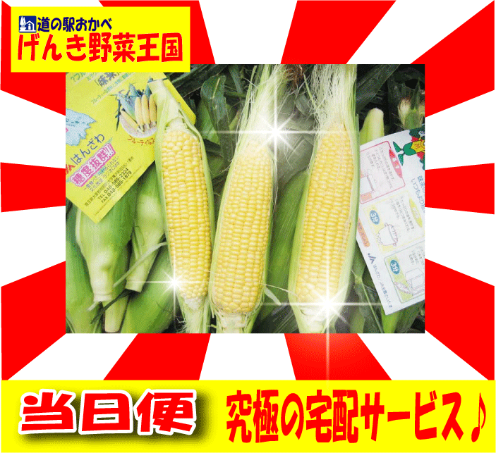 ̸ëԻī⤮̣ۻϤϤϤ㤦ˤοۥӥ!!ͽ!!ڴ϶ȯī⤮̵̣ۡء̵ۡ_090525