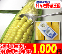 朝もぎとうもろこし味来1kg1000コミコミ♪朝もぎ味来が1kg送料無料！埼玉県深谷市産♪