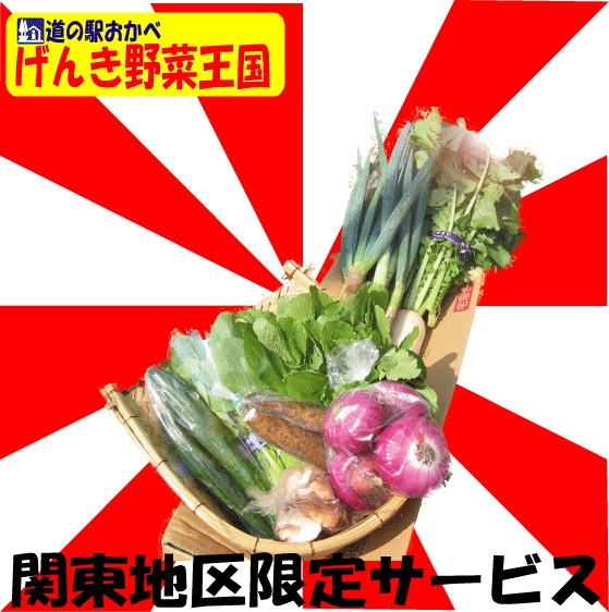 īϤڤˤϤǤĶڥå!!դĤ纬դĤˤ󤸤󡦥֥å꡼٥ġʤ9̵۴϶ȯ!!ĶĶڥå