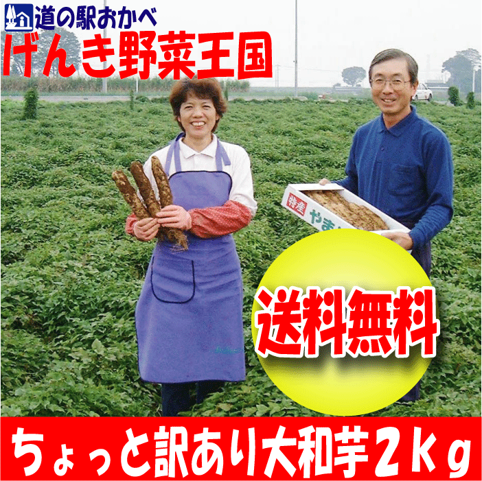 【ねっとり大和芋2kg】【ちょっと訳あり】