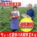 埼玉県深谷市産の大和芋2kg【ちょっと訳あり】を送料無料にてお届け!!【ねっとり大和芋】【ちょっと訳あり】【送料無料】大和芋2kg