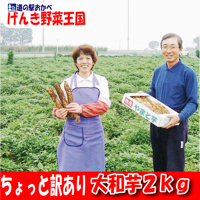 【ねっとり大和芋】【ちょっと訳あり】大和芋2kg【同梱におススメ♪】