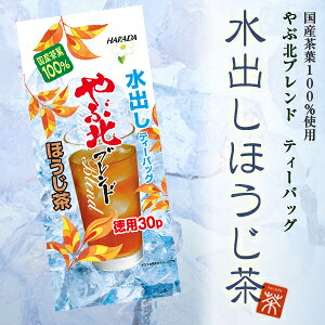 500mlڥåȥܥȥ뤬600ܺ롪ƥХå ϥ ̥֥ѿФۤƥХå(30P)10ޥå