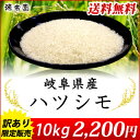 訳アリ価格でご提供！岐阜県を代表するお米　ハツシモ（初霜）10kg(5kg×2)数量限定！