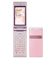 【中古】【安心保証】 docomo STYLE series P-06C