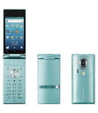 【中古】【安心保証】 SoftBank AQUOS PHONE THE HYBRID 007SH