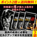 ポイント還元【送料無料+Pt15倍】阿修羅魂 アシュラダマ ...