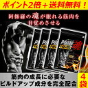 ポイント還元【送料無料+Pt15倍】阿修羅魂 アシュラダマ ...