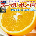 ネーブルオレンジ 10kg 糖度保証 44玉前後【オーストラリア産】Navel Orange/From Australia お歳暮・お正月・クリスマスギフト・送料無料