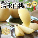 清水白桃 6-7玉 2kg 化粧箱入り 赤秀最上級品大玉(超特級 光センサー)岡山県産 国内最高級もも 百貨店品質|限定・贈答用ギフト・お中元|送料無料