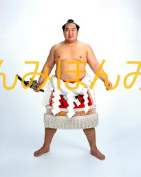 <strong>朝青龍</strong>明徳関　優勝ミニ額 大相撲ミニ額 大相撲優勝額　平成21年1月場所 優勝 横綱 <strong>朝青龍</strong>明徳関（23回目の優勝）