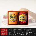 【全国宅配送料無料】丸大ハムギフト GT-30A 【のし対応】ハム ギフト 送料無料 丸大 御祝 内祝 快気祝 結婚祝い 出産祝