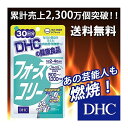 フォースコリー DHC 120粒・30日分 【送料無料/メール便につきNP後払い・代引不可】【ギフト対応不可】
