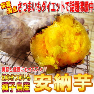 【予約受付中】あま〜いお芋　種子島産さつまいも「安納芋」2.5kg