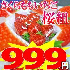 üۤξпäݤȸǡ֤⤤פʤ999!구ʳ⤤1ѥå48γ縩ʳȸäƤݤƱ!