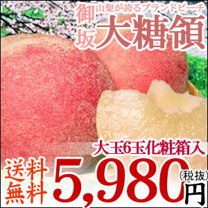 最高峰のブランドピーチ大糖領大玉6玉【送料無料】【桃】