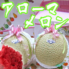 ̵Ųι⤤֥ɥޥڥޥ2̥͡աۡڥ͡աѥޥ2̵̡