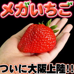 ᥬΤɥǥȤۤäڤûǤꡡᥬΤɥǥȤۤäڤĤ˾Φ!!Ķγ9γָ꤬!Ȣ