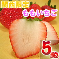 ⤤Ȣ5γ˥쥢γ⤤Ȣ5γ縩