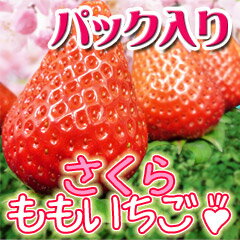 ȤäƤ⤸ڤ⤤2ѥåڤ⤤2ѥåꡡ縩